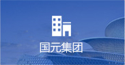 國元集團